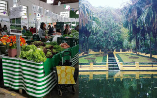 Feira orgânica do Parque da Água Branca