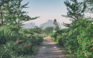 Passear no Bosque da Barra