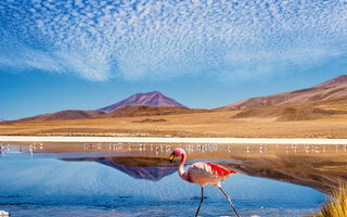 DESERTO DO ATACAMA, CHILE