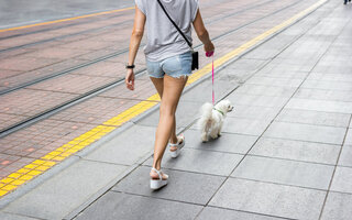 PASSEAR NA PAULISTA DE DOMINGO