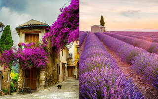 PROVENCE, FRANÇA