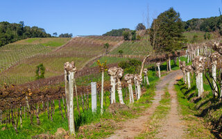 Vale dos Vinhedos, Rio Grande do Sul