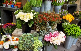 Feira de Flores do CEAGESP