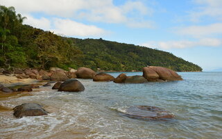 CEDRO, UBATUBA