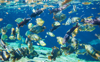 BONITO, MATO GROSSO DO SUL