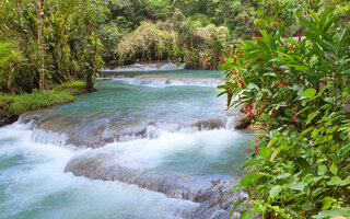 OCHO RIOS: DUNN'S RIVER FALLS