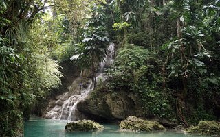 PORT ANTONIO: SOMERSET FALLS