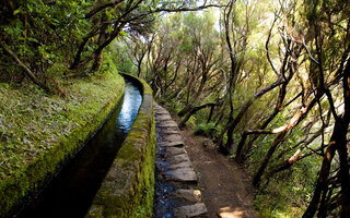 LEVADA