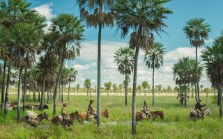 Zama (Lucrecia Martel) - Argentina