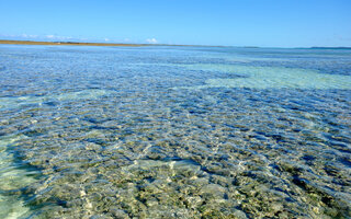 Maragogi - Alagoas