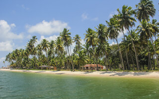 PRAIA DOS CARNEIROS