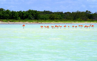 Holbox no México