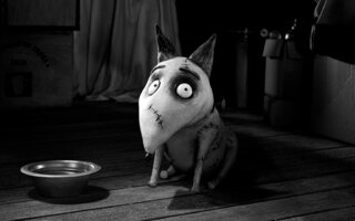 Frankenweenie