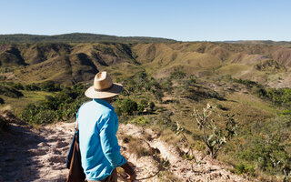 ENTENDENDO A CHAPADA DOS VEADEIROS