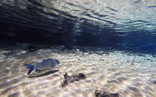 BONITO (MATO GROSSO DO SUL)