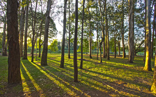 PARQUE DA ÁGUA BRANCA