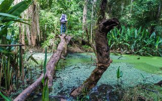 PARQUE NACIONAL MADIDI (BOLÍVIA)