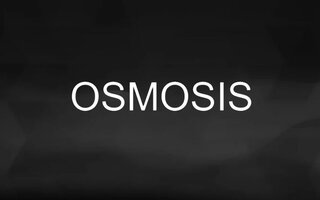 Osmosis