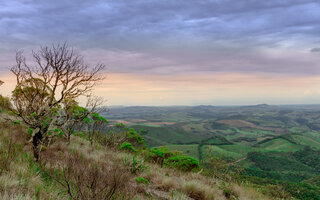 PICO DO PIÃO