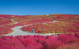 HITACHI SEASIDE PARK