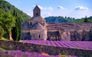 PROVENCE