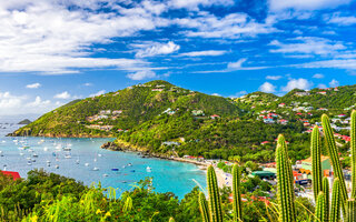 A CAPITAL GUSTAVIA