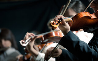 Conferir os concertos gratuitos do Theatro Municipal