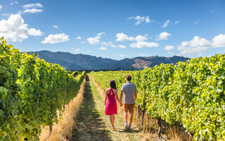 ESTRADA DO VINHO, EM SÃO ROQUE