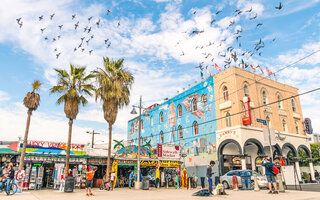 VENICE BEACH