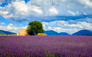 VALENSOLE