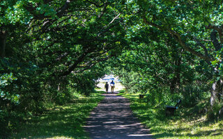 MONTE VERDE (MINAS GERAIS)