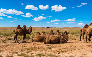 Deserto de Gobi | Mongólia e China