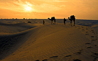 Deserto do Thar | Índia e Paquistão