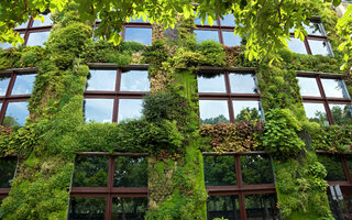 Musée Du Quai Branly