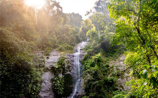 TRILHAS E CACHOEIRAS DA SERRA DO MAR