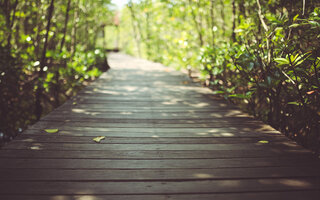 TRILHA MAIS LEVE: Trilha da Vida (Parque Ecológico do Guarapiranga)