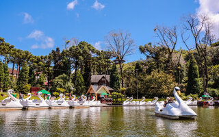 CANELA (RIO GRANDE DO SUL)