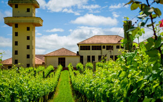 O que é a Rota do Vinho de Gramado?