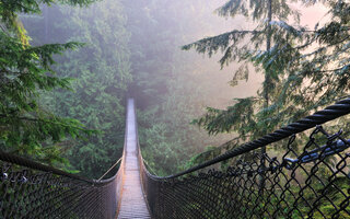 LYNN CANYON PARK (VANCOUVER)