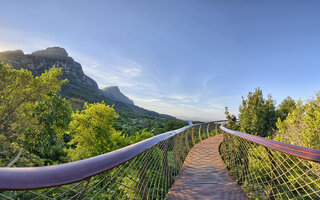 Jardim Botânico Nacional de Kirstenbosch | África do Sul