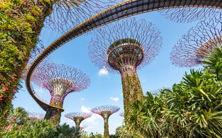 Jardins Botânicos de Singapura | Singapura