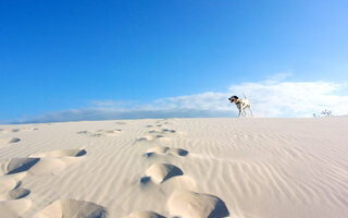 DUNAS DA JOAQUINA