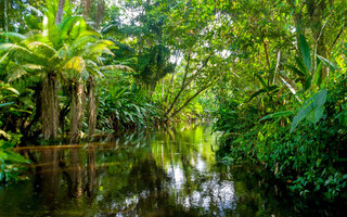 Amazônia: Os Novos Viajantes | MuBE