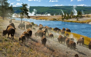 Parque Nacional de Yellowstone, Estados Unidos | América do Norte