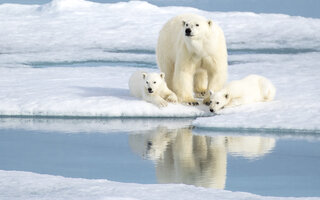 Svalbard, Noruega | Europa