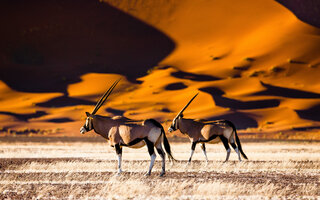 Sossusvlei, Namíbia | África