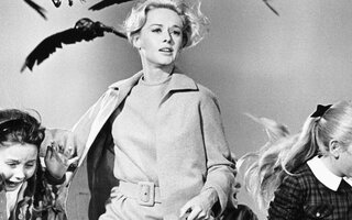 Os Pássaros (1963)