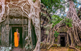 Templo Ta Prohm, Angkor - Camboja