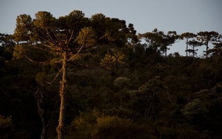 Jardim Botânico de Porto Alegre