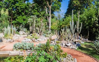 Jardim Botânico do Rio de Janeiro